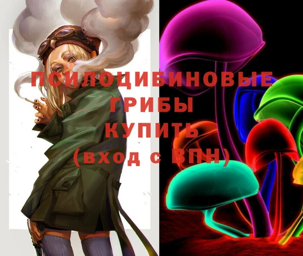 каннабис Аркадак