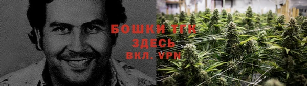 винт Алексин
