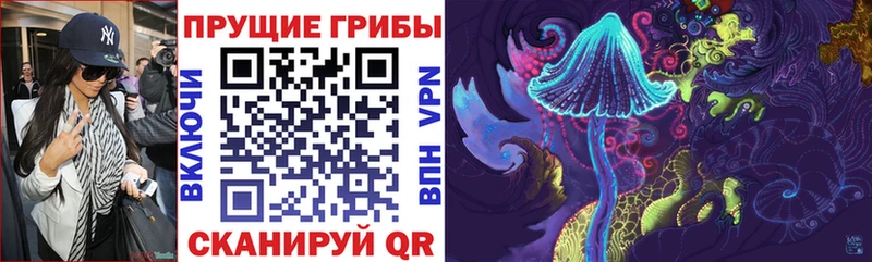 Псилоцибиновые грибы GOLDEN TEACHER  хочу   hydra как зайти  Мглин 